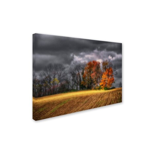 Lois Bryan 'Autumn Field' Canvas Art,22x32